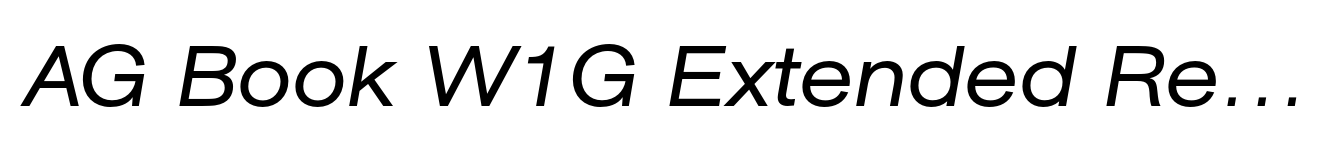 AG Book W1G Extended Regular  Italic
